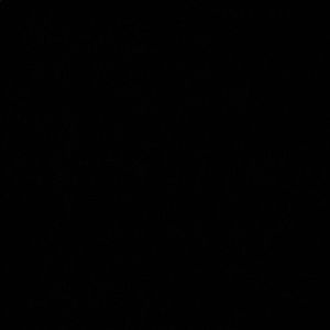 Meet your Posher, Kyleigh